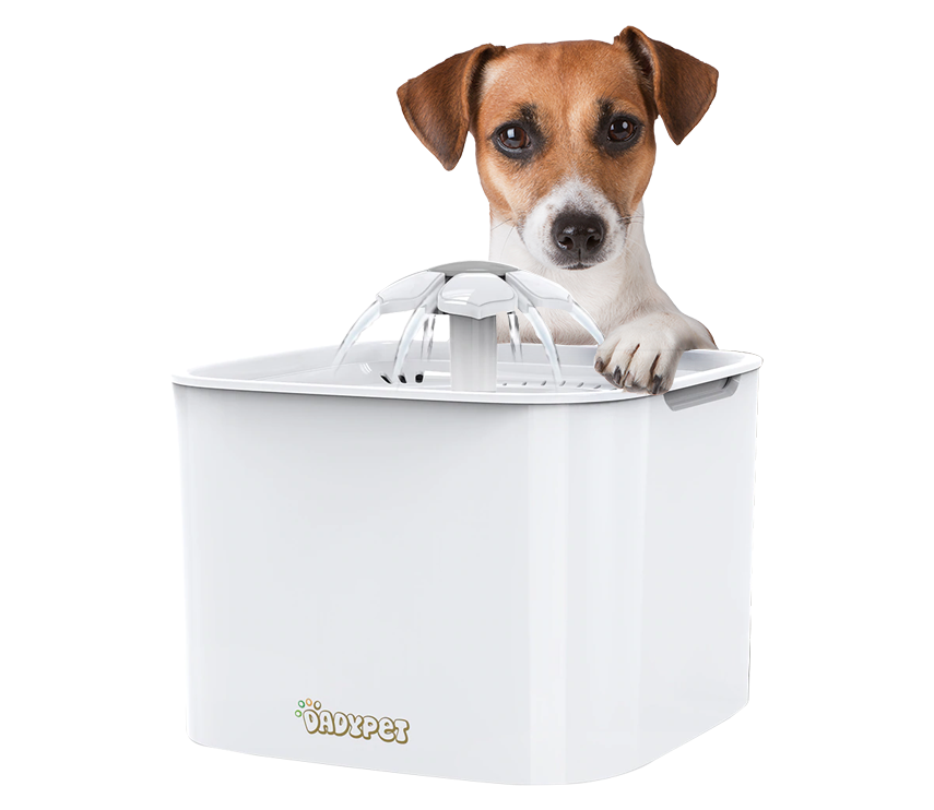 THE ELECTRIC WATER FOUNTAIN FOR PETS