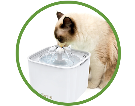 Increased water levels